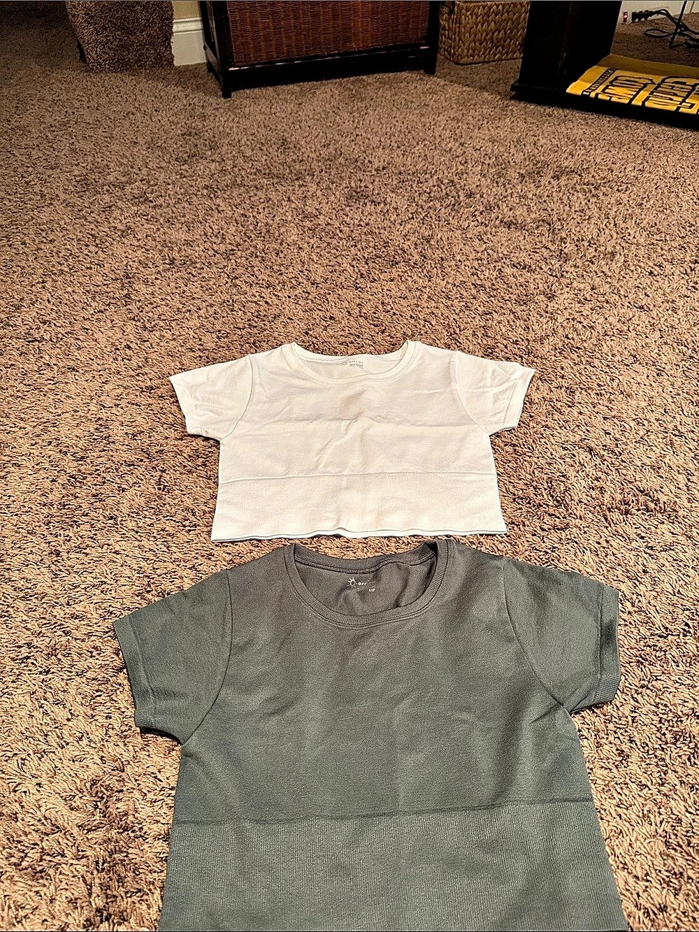 Offline by Aerie Sidewalk Seamless Cropped T-Shirt Set of 2